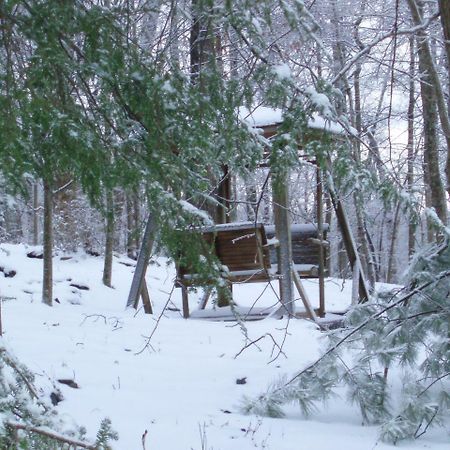 Mountain Top Lodge Далонеґа Екстер'єр фото